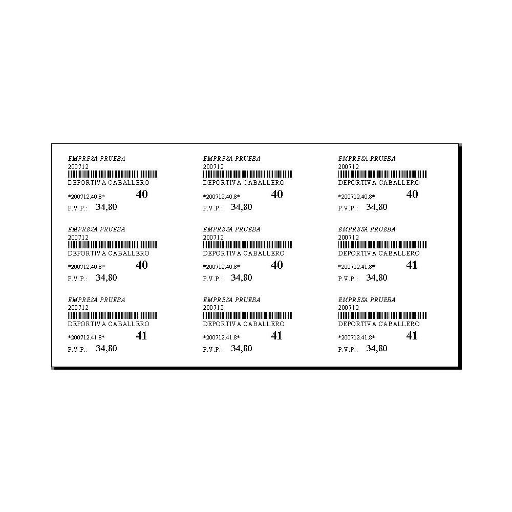 Software Programa de Gestión Especifica ZAPAGES para ZAPATERIAS - Imagen 4